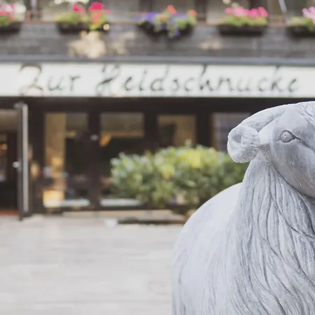 Zur Heidschnucke Hotel 4*